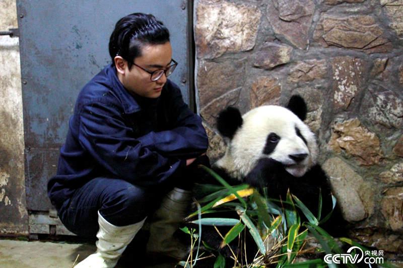 Daddy Zhang Yue and his own "son"